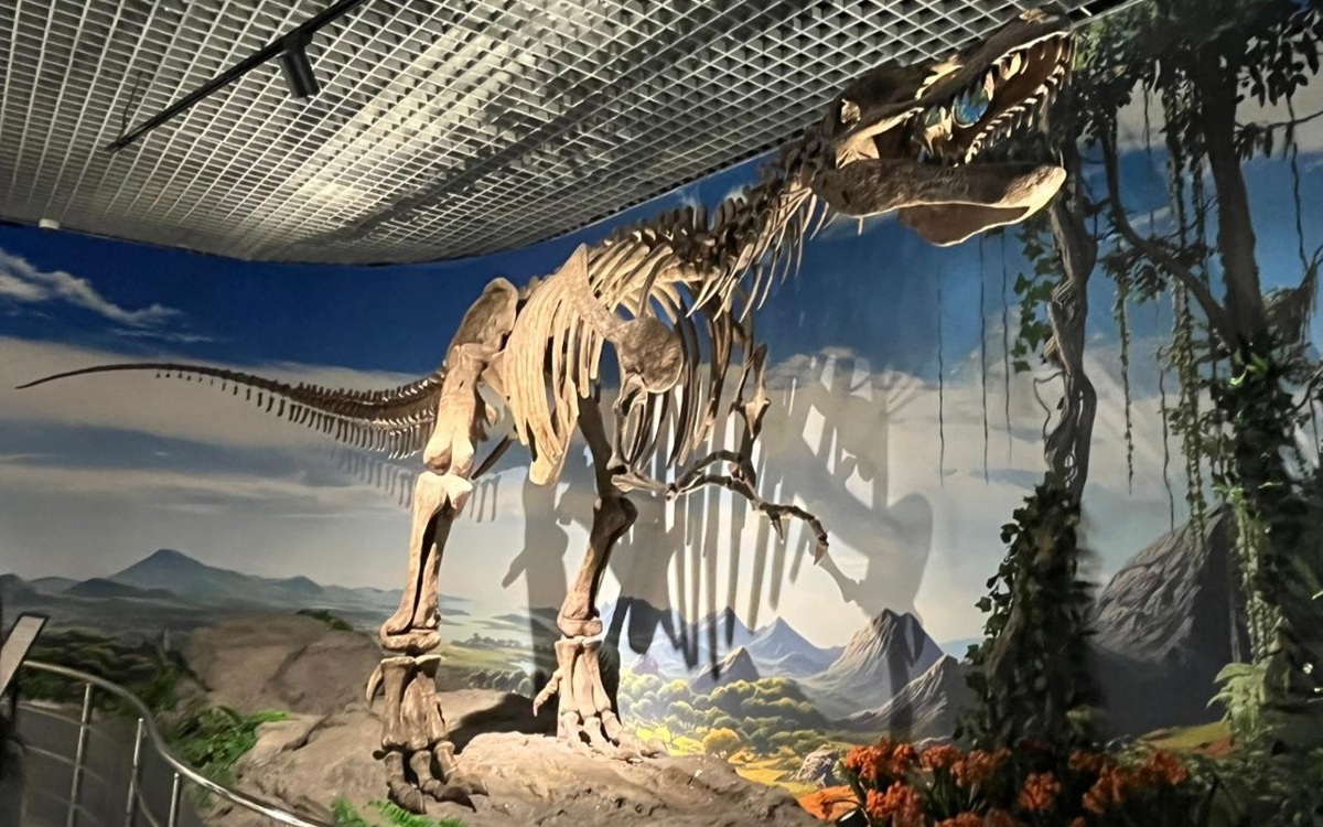 Какие виды динозавров обитали в Жетысу