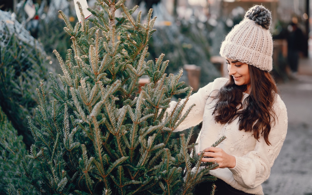 Куда можно сдать использованные елки в Алматы