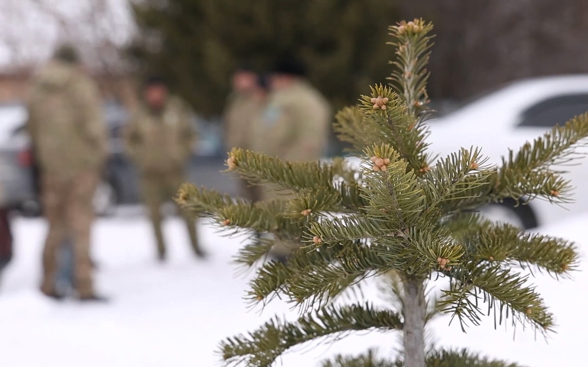 Как в ВКО выращивают будущий лес