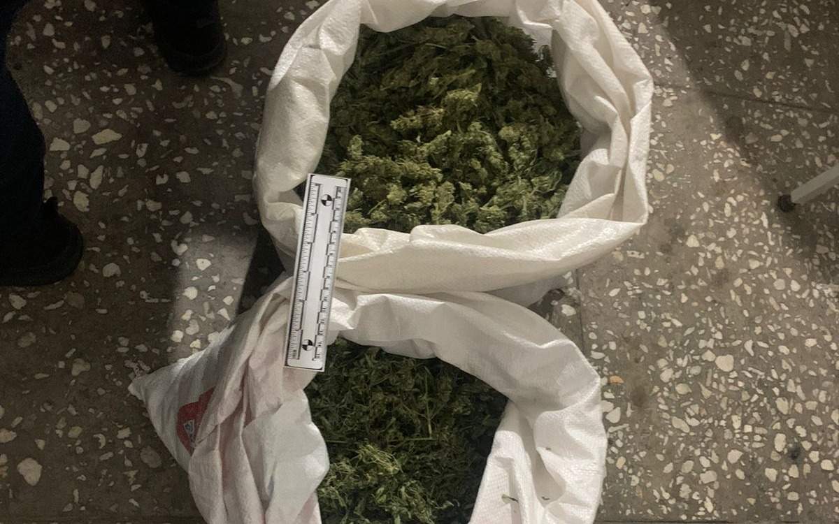 Свыше 43 килограммов марихуаны изъяли в Жамбылской области