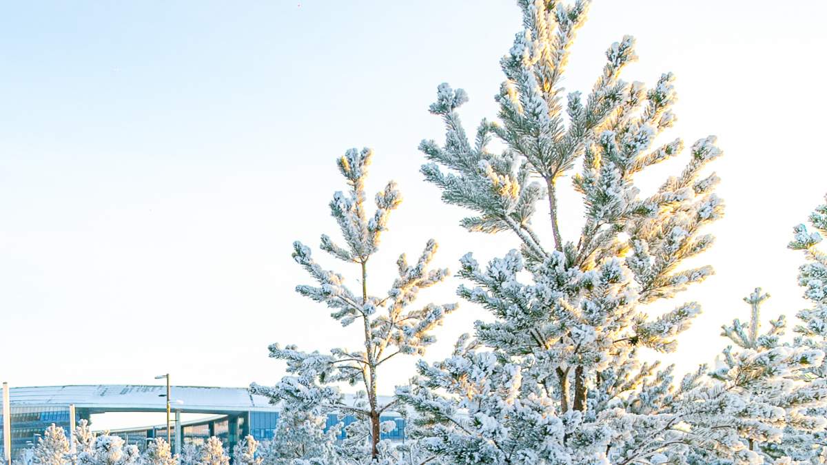 Резкое похолодание ожидается в Казахстане: понижение температуры до -30