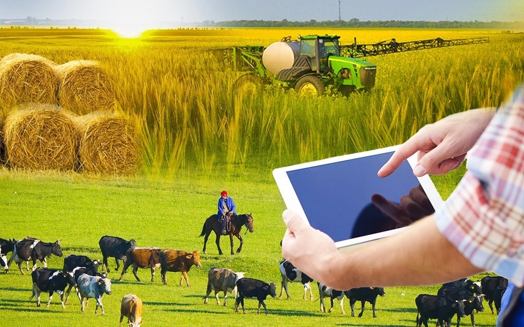 Повысить урожайность с помощью ИИ планируют в Жамбылской области