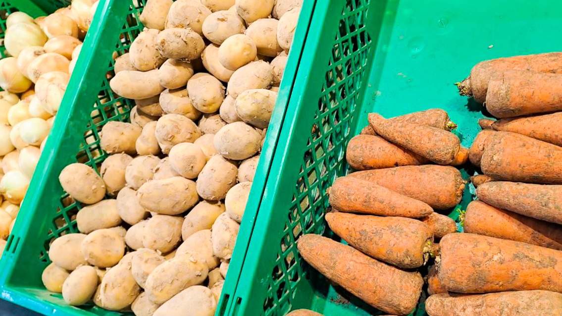 Бизнес раскритиковал инициативу по ограничению экспорта сельхозпродукции — депутат