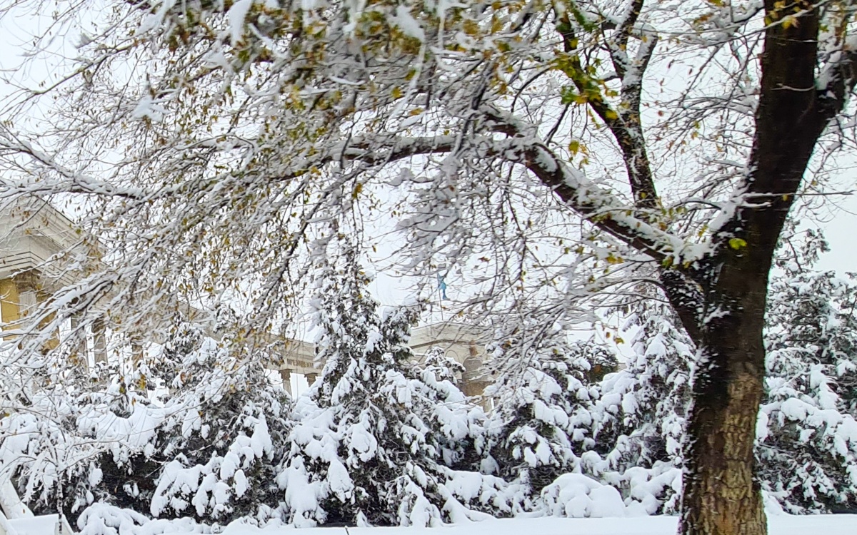 Прогноз погоды в Казахстане на 15 января