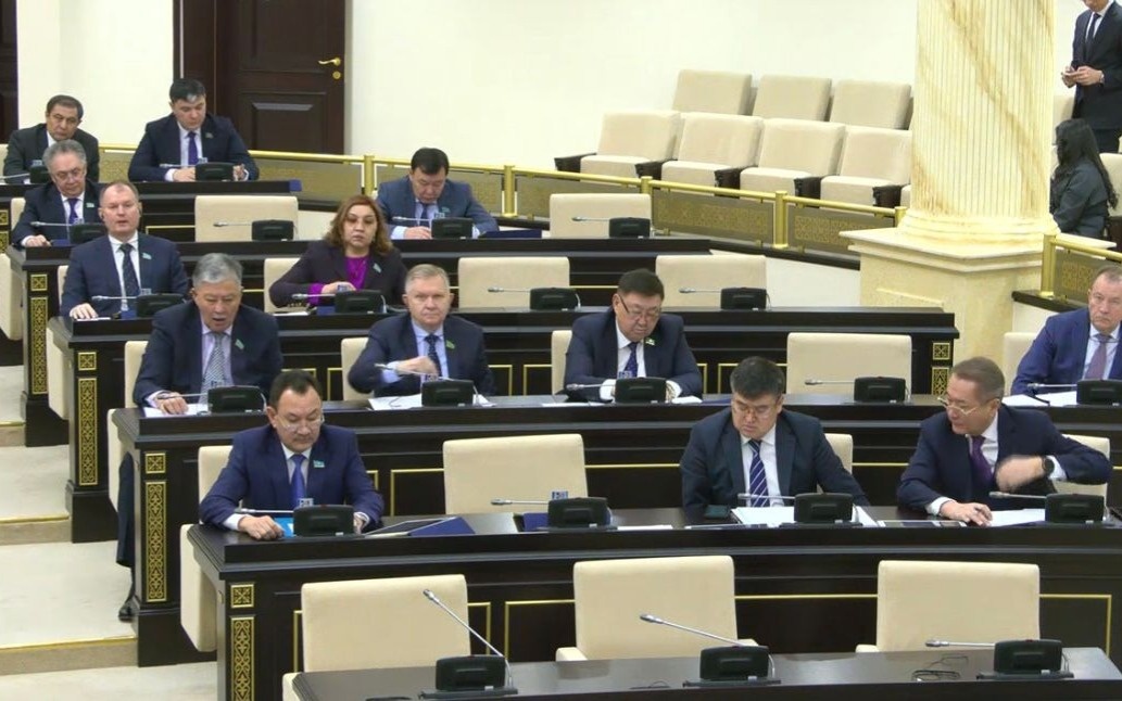 Сенат-одобрил-ратификацию-соглашения-с-Францией-о-реадмиссии-граждан