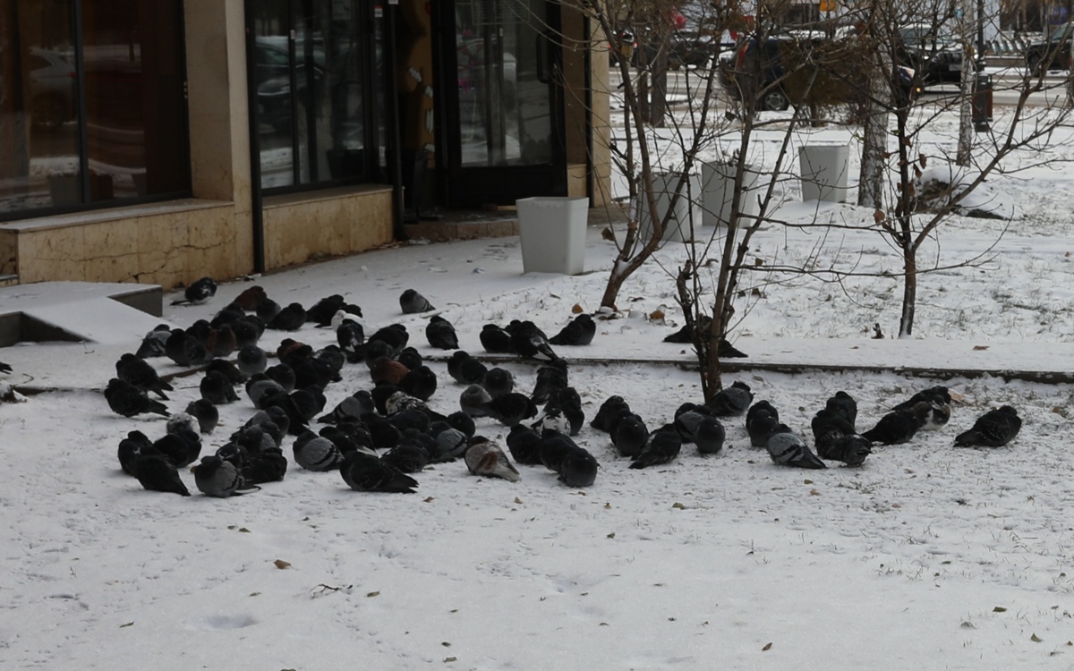 Нестабильная погода ожидается в феврале в Павлодарской области