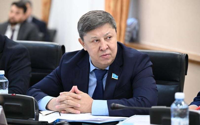 Депутат призвал расширить пограничную полосу на юге Казахстана