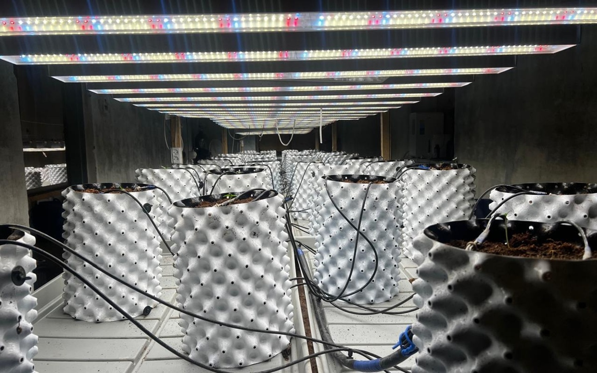 Фитолабораторию с дорогостоящим оборудованием «накрыли» в Акмолинской области