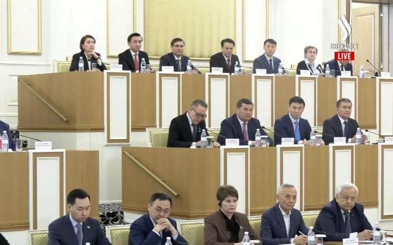 Каков порядок назначения и полномочия вице-президента в Казахстане