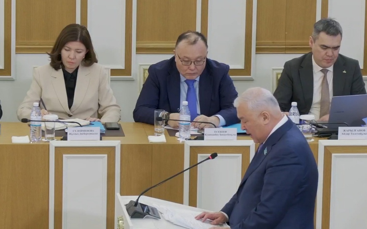 Мурат Абенов выступил за усиление защиты интеллектуальной собственности и творческой свободы