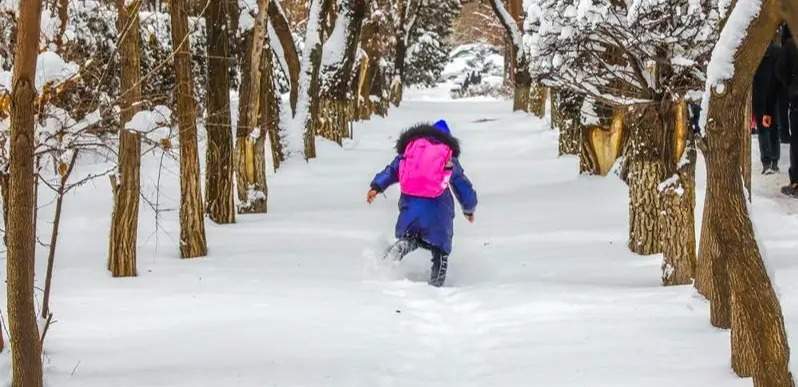 Школьников Актюбинской области вновь отправили на удаленку