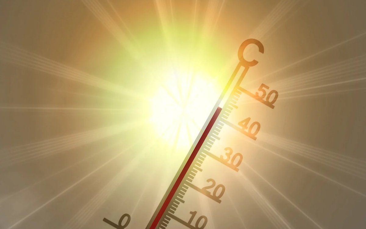 Аномальная жара зафиксирована в ряде штатов Австралии