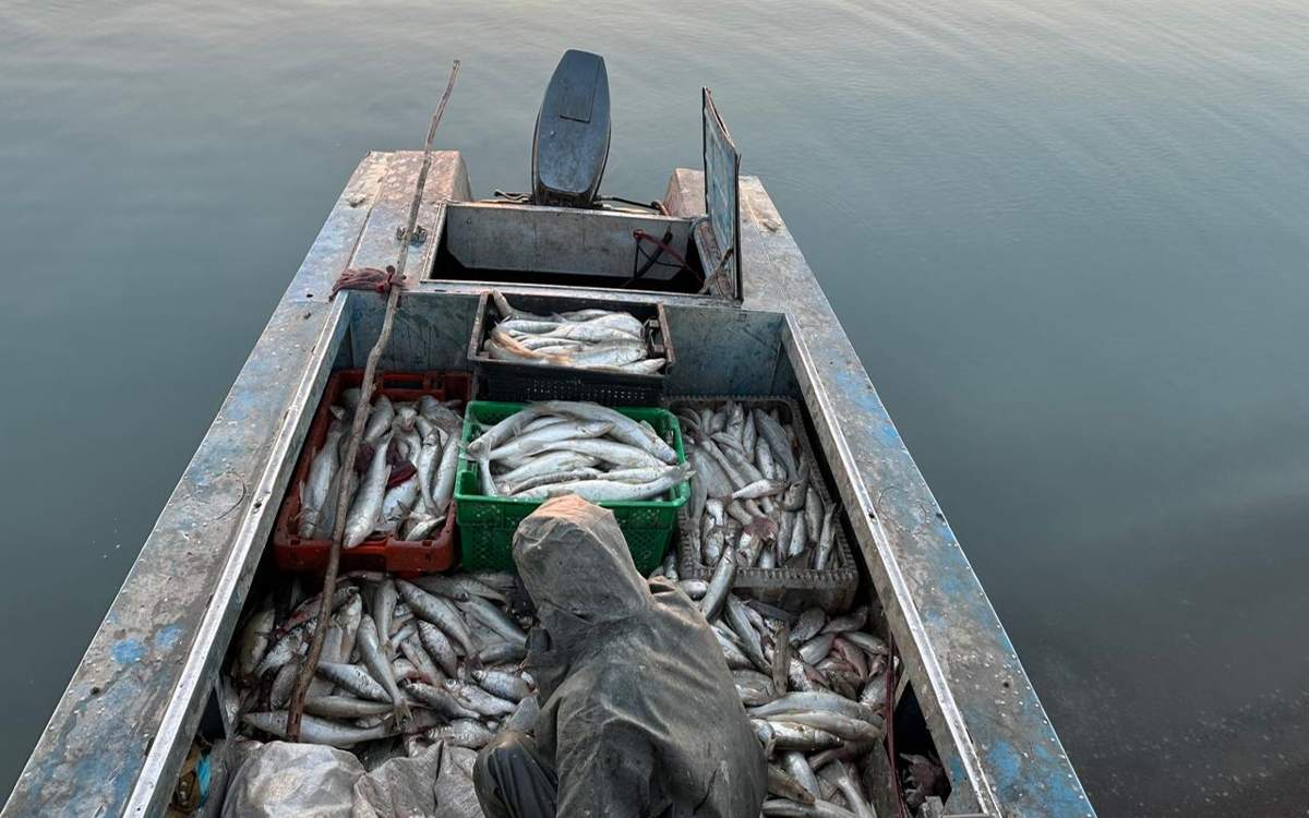 Браконьер на Балхаше незаконно добыл свыше 100 килограммов рыбы
