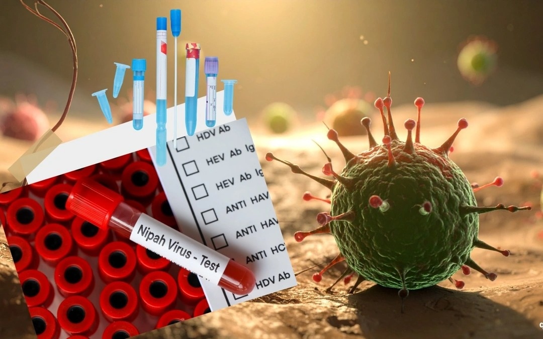 Вирус Нипах: Индия вводит экстренные меры из-за случаев заражения