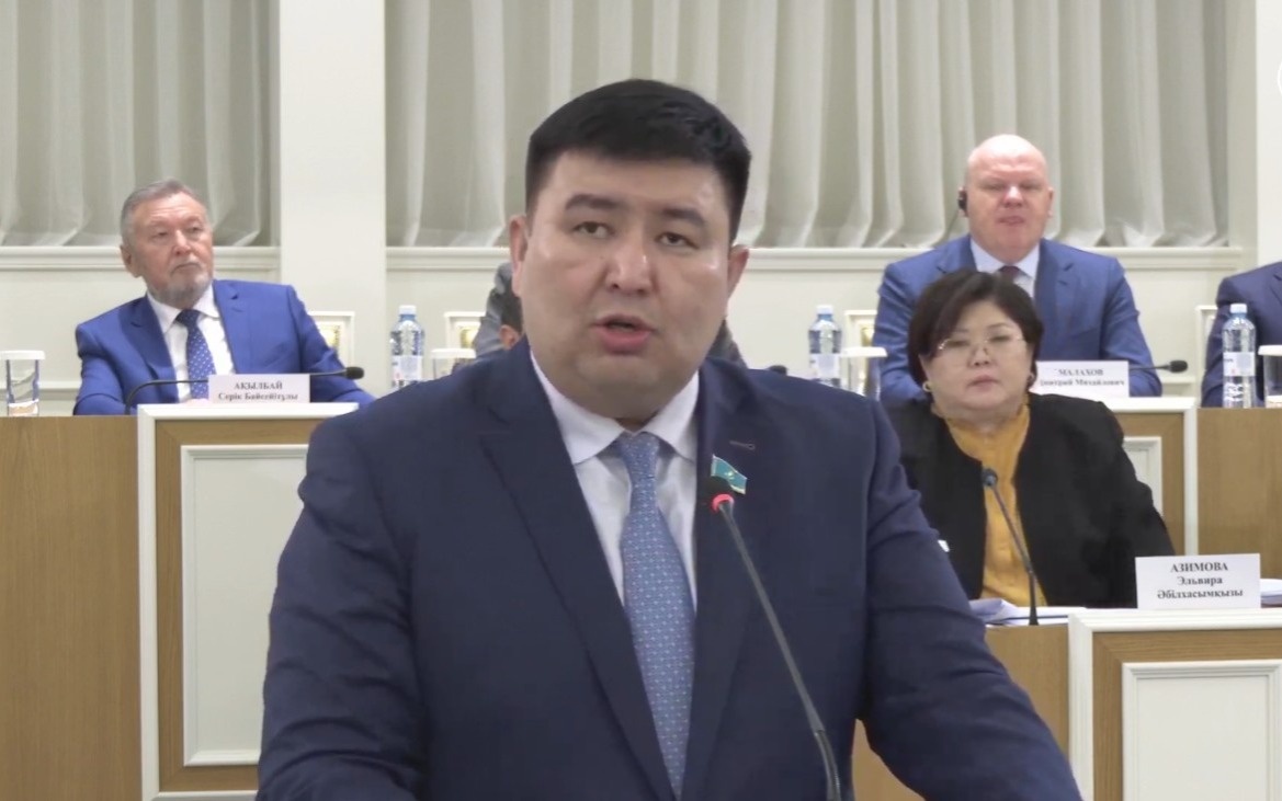 Народный совет не должен превращаться в еще один Парламент — депутат