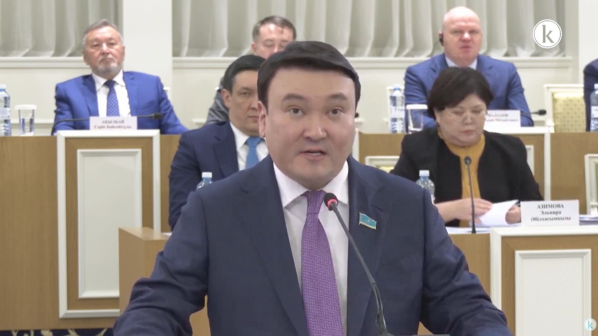 Любой гражданин Казахстана сможет выдвигать законопроекты через Народный совет