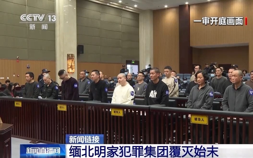 За мошенничество и убийства казнили 11 членов трансграничной группировки в Китае