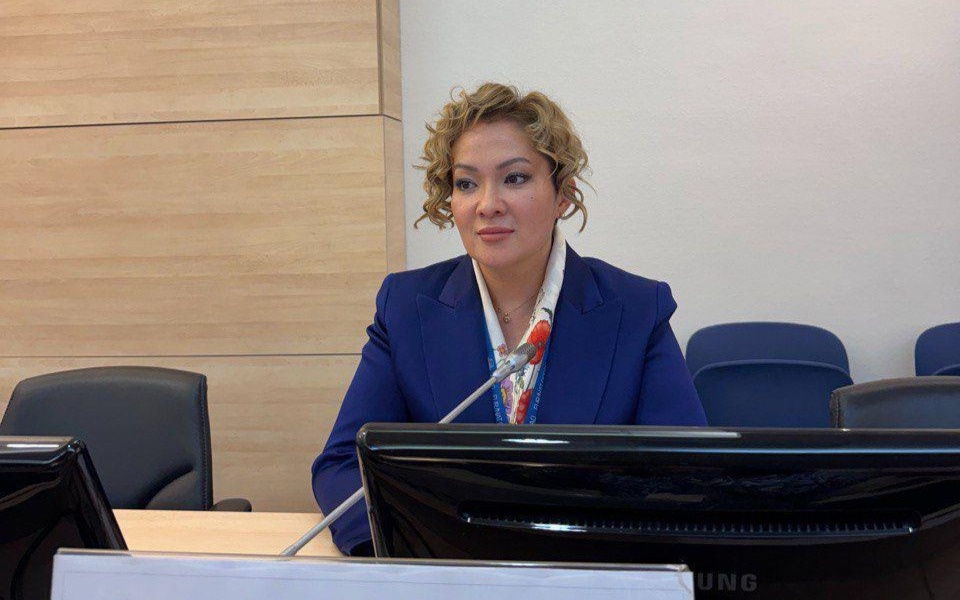 Салтанат Томпиева назначена послом ИКАО
