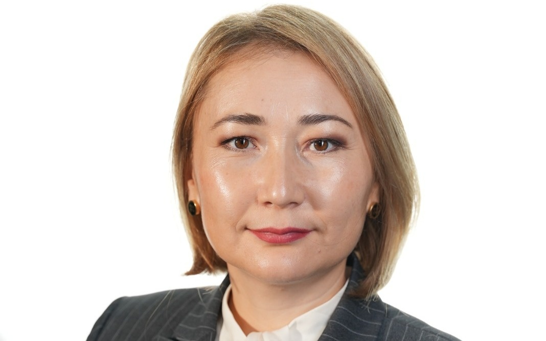 Проект новой Конституции институционально укрепляет элементы Good Governance