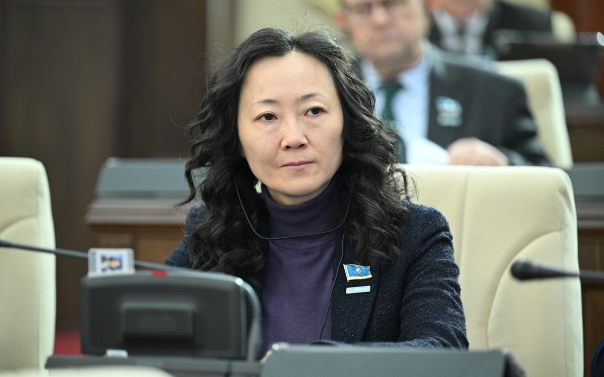 Казахстанцев призовут к бережному потреблению газа через поправки в законе