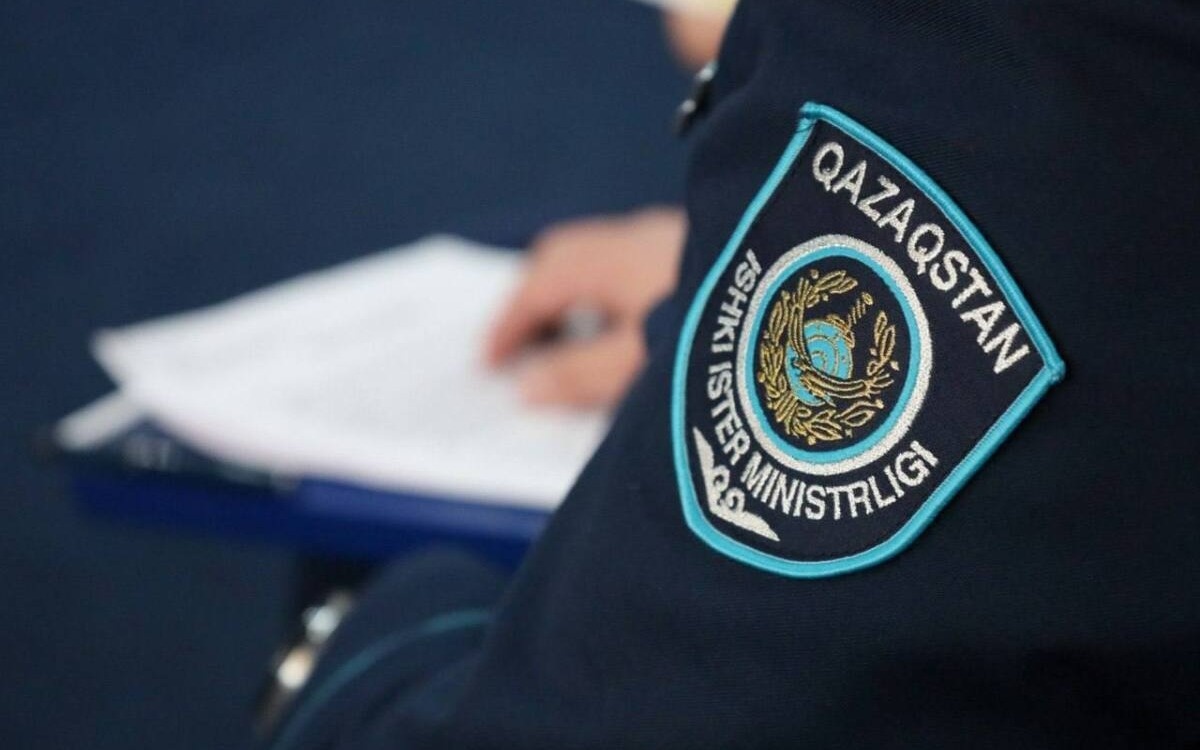 Возбуждено уголовное дело по факту гибели двух пастухов в метель в ЗКО