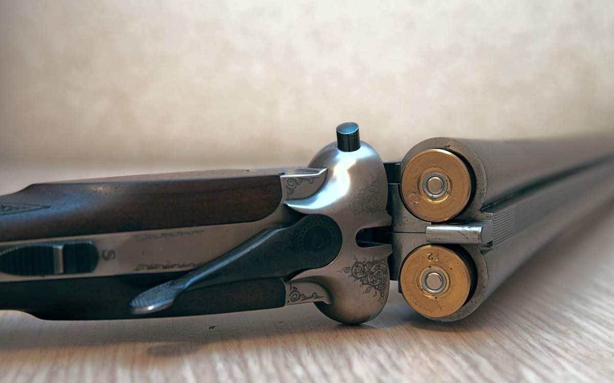 Стрельба по собакам обернулась ранением человека в Бурабае