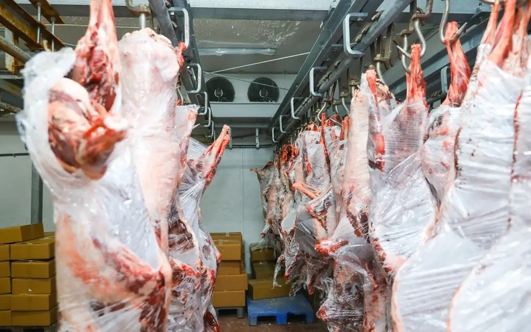 Будет ли экспортироваться тушеное мясо сайгака из ЗКО