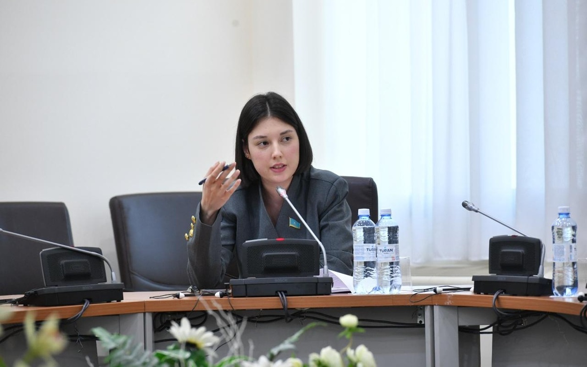 Проект новой Конституции ориентирован на социальную справедливость — депутат Мажилиса