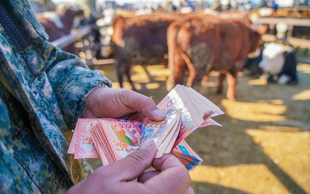 Минсельхоз РК изменил правила субсидирования в агропромышленном комплексе