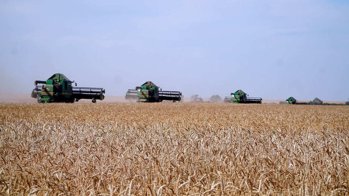 Правительство Казахстана внедряет модель прогрессивной агроэкономики