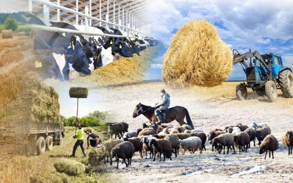 Количество сельхозкооперативов увеличилось в 1,5 раза в Казахстане за пять лет