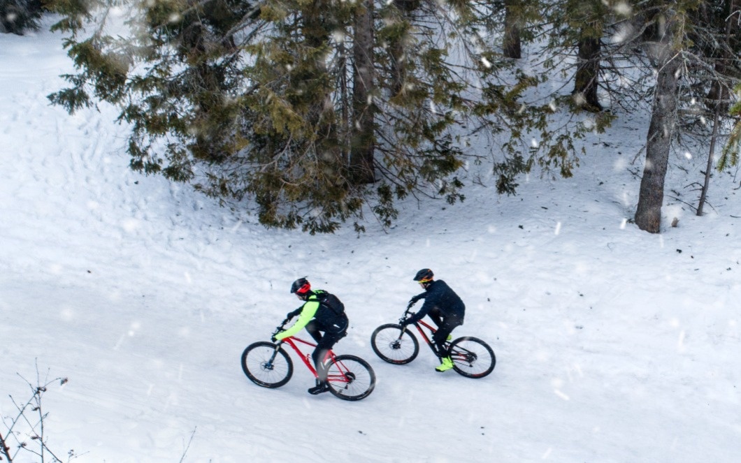 Новые виды спорта могут появиться в программе зимних Олимпийских игр