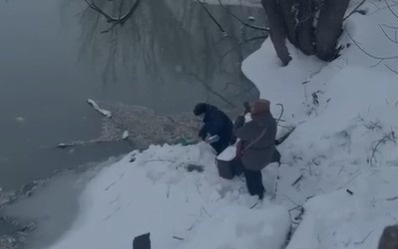 Экологи выясняют причину массовой гибели рыбы в одном из районов Акмолинской области