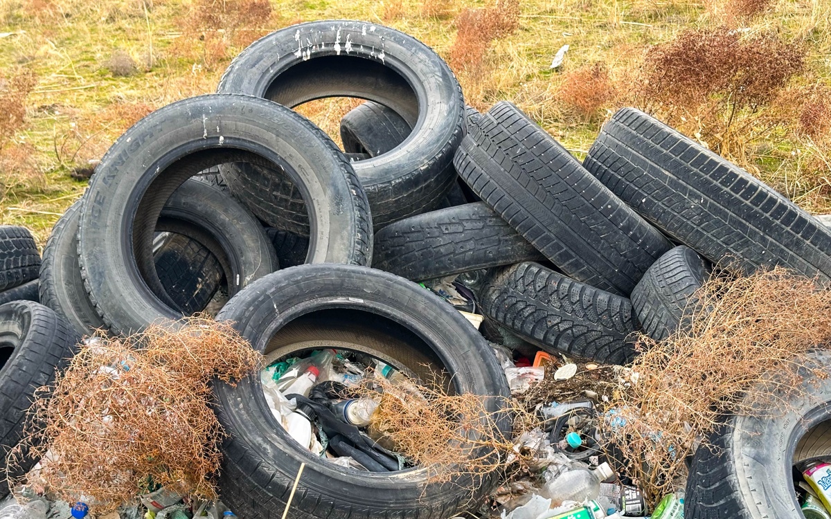 Подснежники зацвели среди строительного хлама и пластиковых отходов в Шымкенте