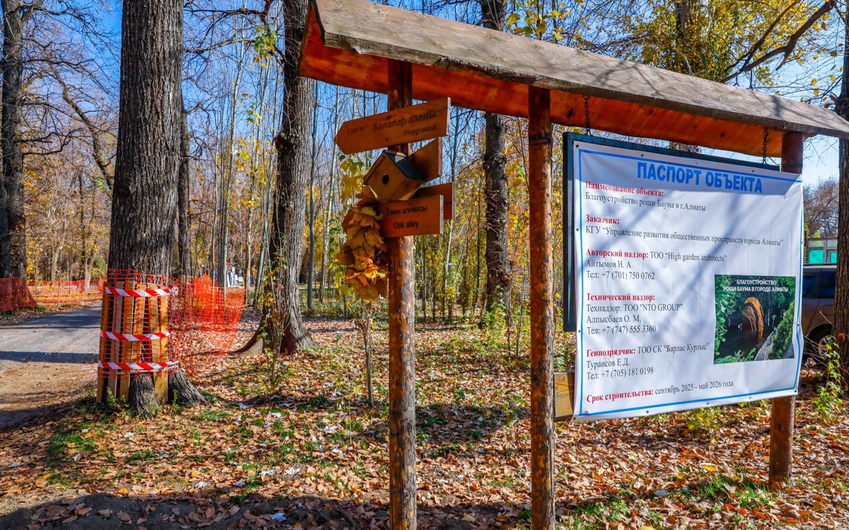 Благоустройство рощи Баума в Алматы завершат к 1 июня