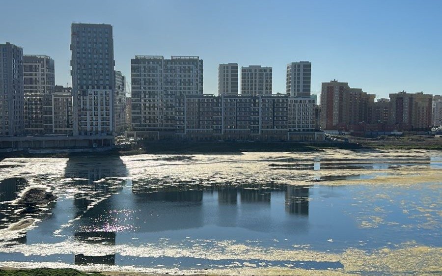 Экопарк на Малом Талдыколе начнут строить в 2026 году