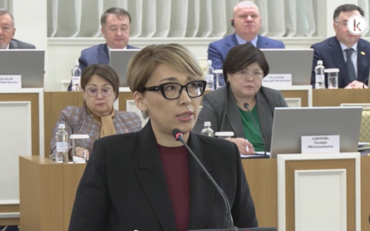 Проект новой Конституции закрепляет права граждан в цифровой среде — Еркежан Кунтуган