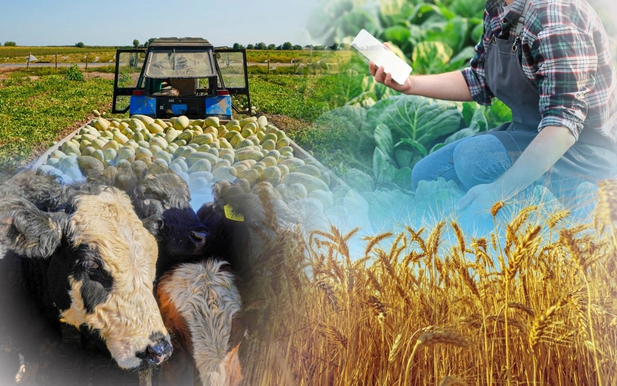 800 млн тенге сэкономлено при сельхозпереписи в 2025 году