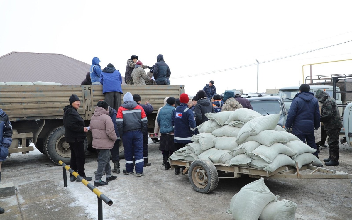 После падежа скота в Атыраускую область доставили корм из Уральска