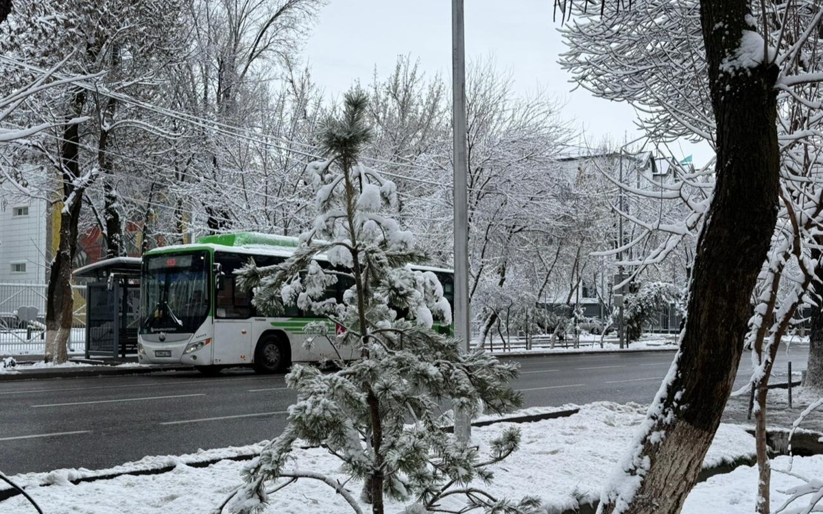 После дождя и снегопада Шымкент накроют морозы
