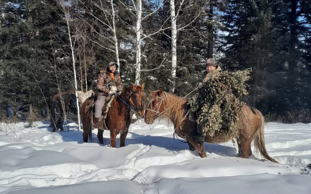 Лесники-по-грудь-в-снегу-кормят-диких-животных-в-Катон-Карагае