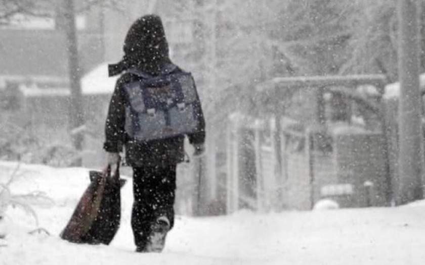 Школьников и студентов колледжей Астаны снова отправят на удаленку