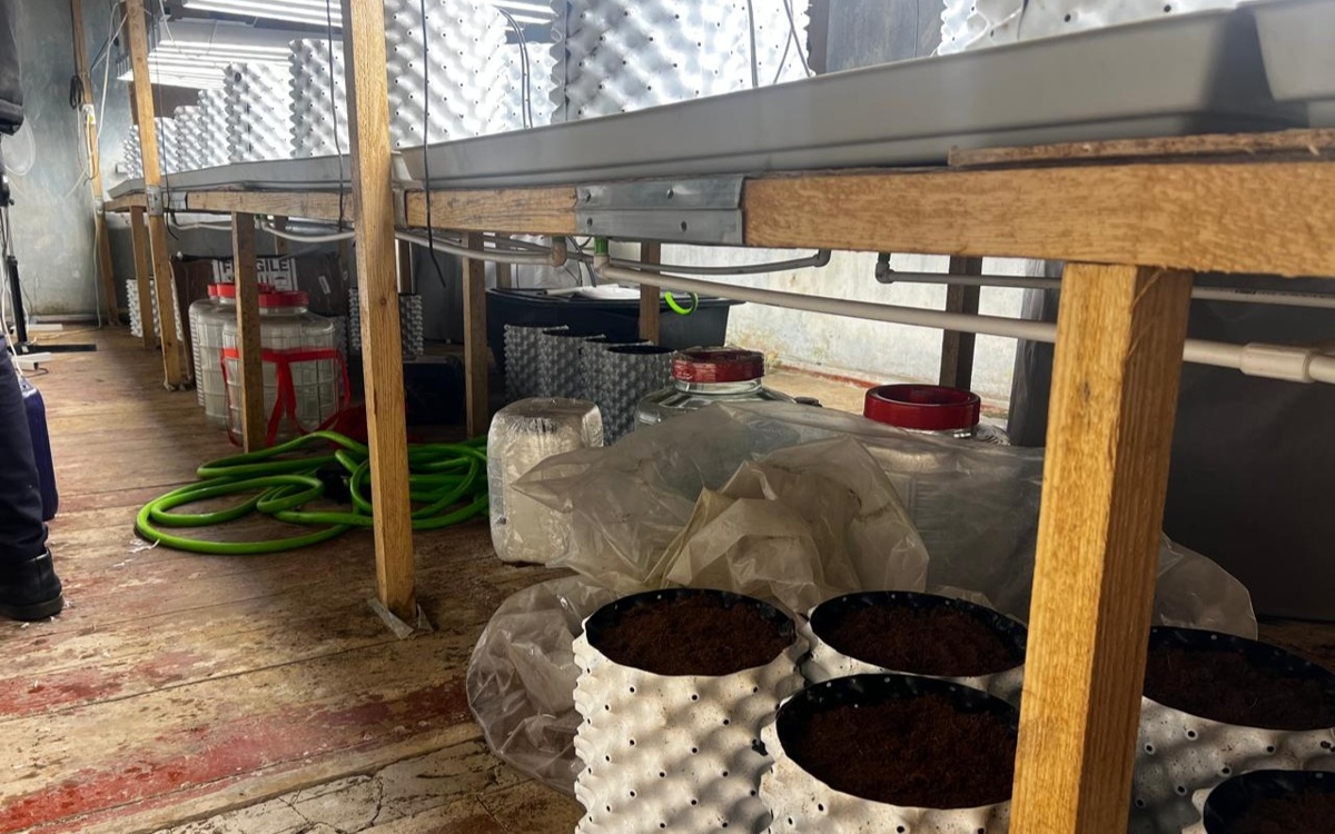 Более 400 нарколабораторий ликвидировано в Казахстане за пять лет