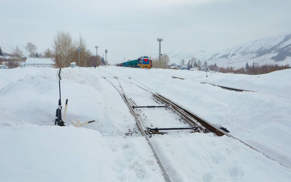 Поезд наехал на табун лошадей в Акмолинской области