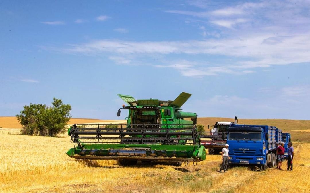 За 7 лет объем сельхозпроизводства в Казахстане вырос почти вдвое