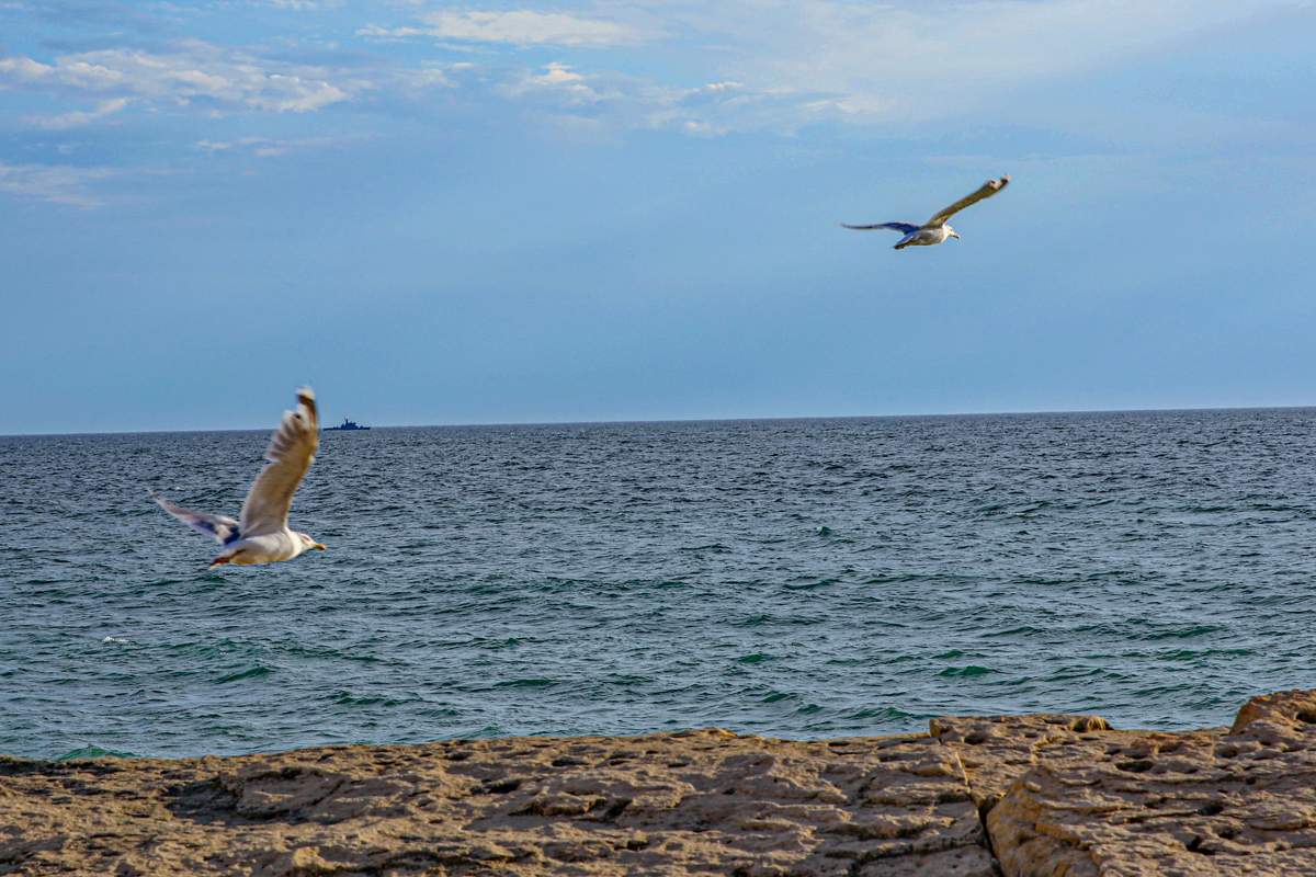 Где казахстанцы могут безопасно отдохнуть, рассказал глава МИД