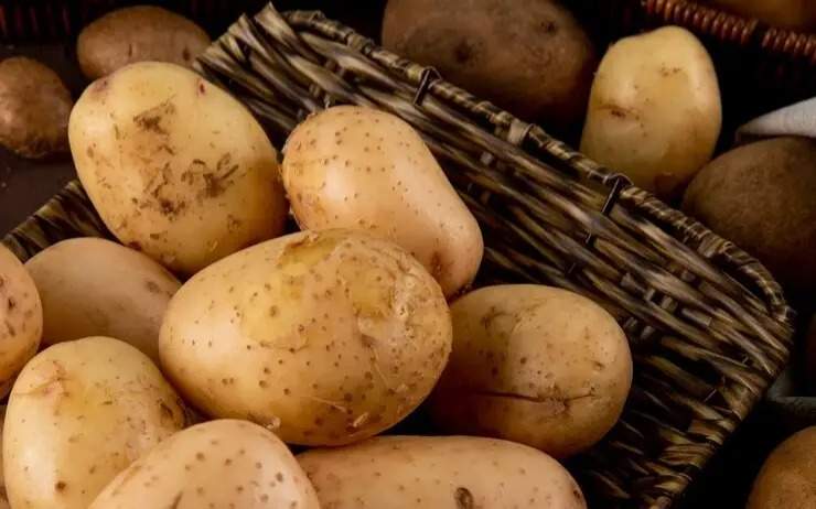 В Казахстане ввели минимальные цены на ряд товаров во втором квартале 2026 года