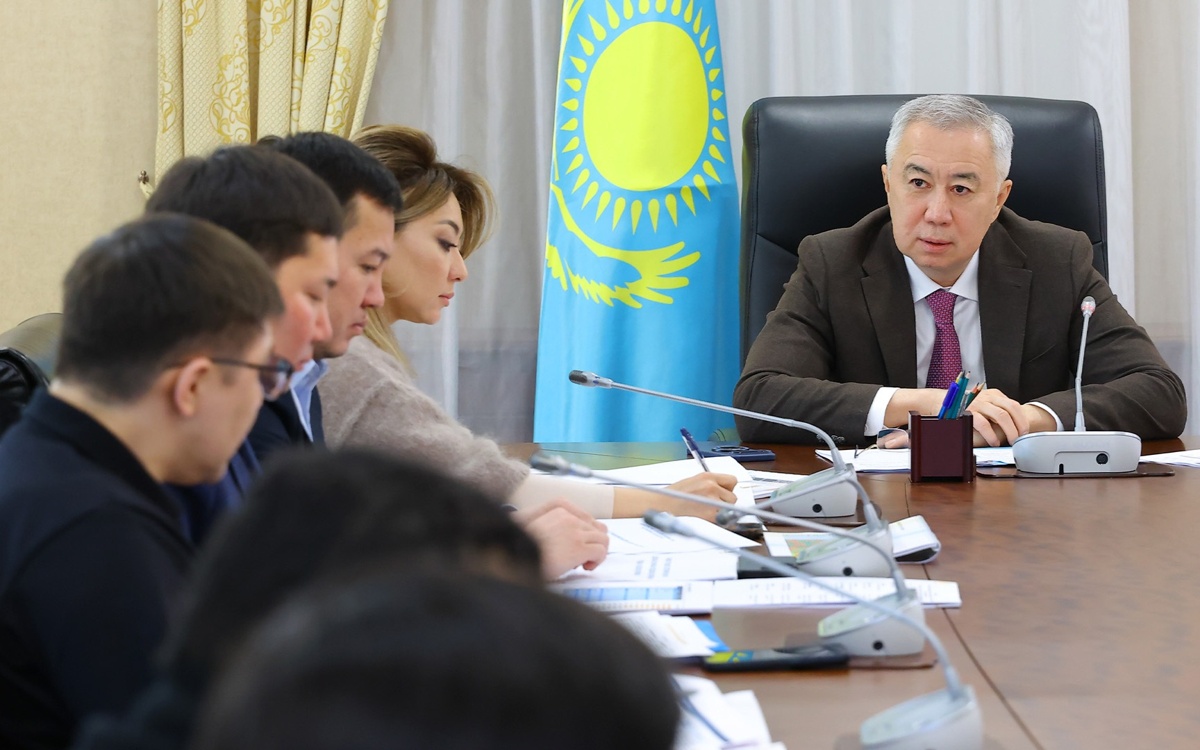 ИИ помогает выявлять непродуктивных посредников при продаже социальных продуктов в Казахстане