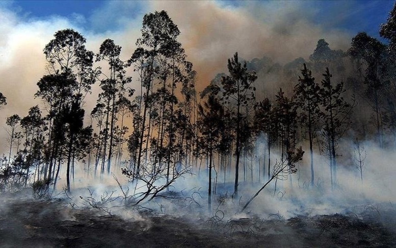 Чрезвычайное положение объявлено в Небраске из-за пожаров в США