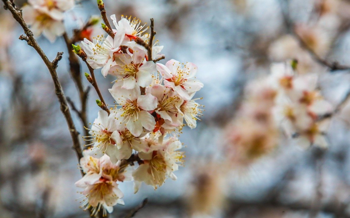 До +28 и обратно в минус: какой будет апрель в Костанайской области